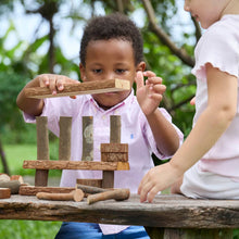 Load image into Gallery viewer, Branch Block Building Set