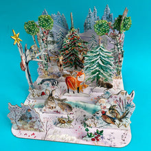 Load image into Gallery viewer, Wild Winter's Song 3-Dimensional Advent Calendar