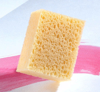 Pop-Up Sponge for Painting - Set of 2