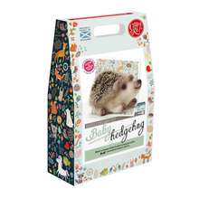 Load image into Gallery viewer, Baby Hedgehog Needle Felting Kit
