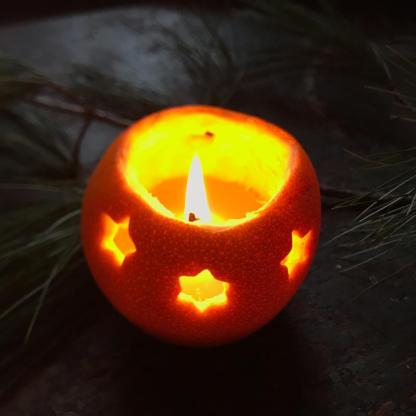 Beeswax Pellet and Wick Set A Toy Garden