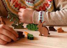 Load image into Gallery viewer, Bunny Garden Story Box Set