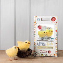 Load image into Gallery viewer, Chirpy Chicks Needle Felting Kit