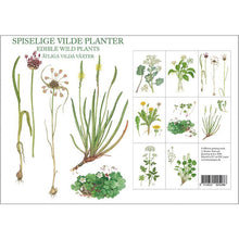 Load image into Gallery viewer, Edible Plants Stationery Folder with Set of 8 Note Cards