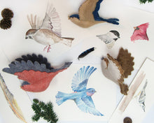 Load image into Gallery viewer, Wee Felt Feathered Friends Complete Sewing Kit