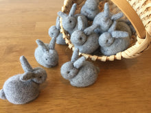 Load image into Gallery viewer, Wee Rabbits Complete Sewing Kit