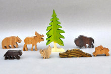 Load image into Gallery viewer, Wilderness Animals Box Set