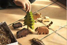 Load image into Gallery viewer, Wilderness Animals Box Set