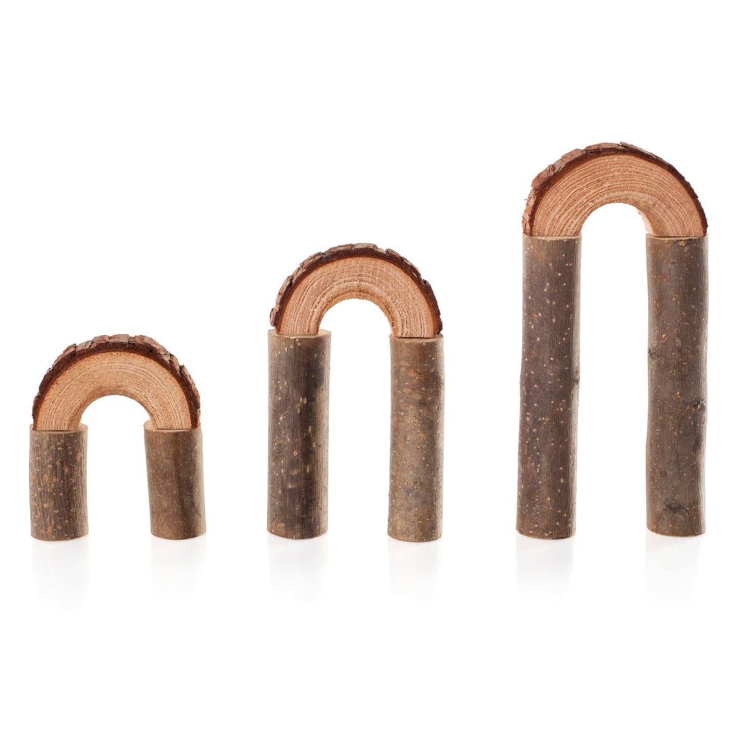 Branch Block Building Set