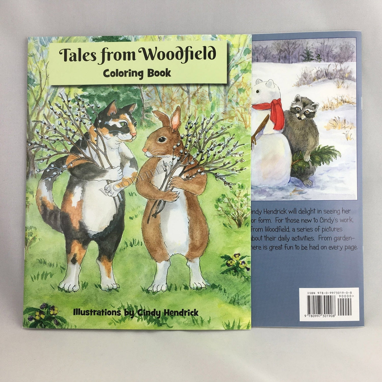 Tales from Woodfield Coloring Book
