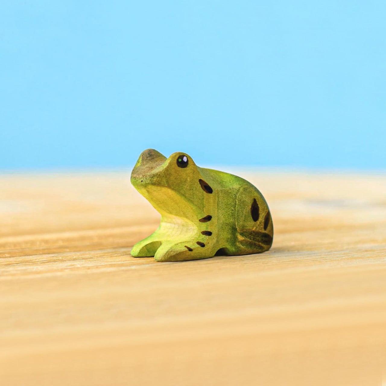 Wooden Frog