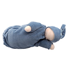 Load image into Gallery viewer, Heavy Baby Weighted Waldorf Doll *MADE IN THE USA*
