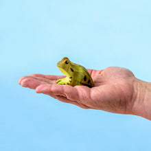 Load image into Gallery viewer, Wooden Frog
