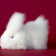 Load image into Gallery viewer, Alpaca Wool Stuffed Bunny

