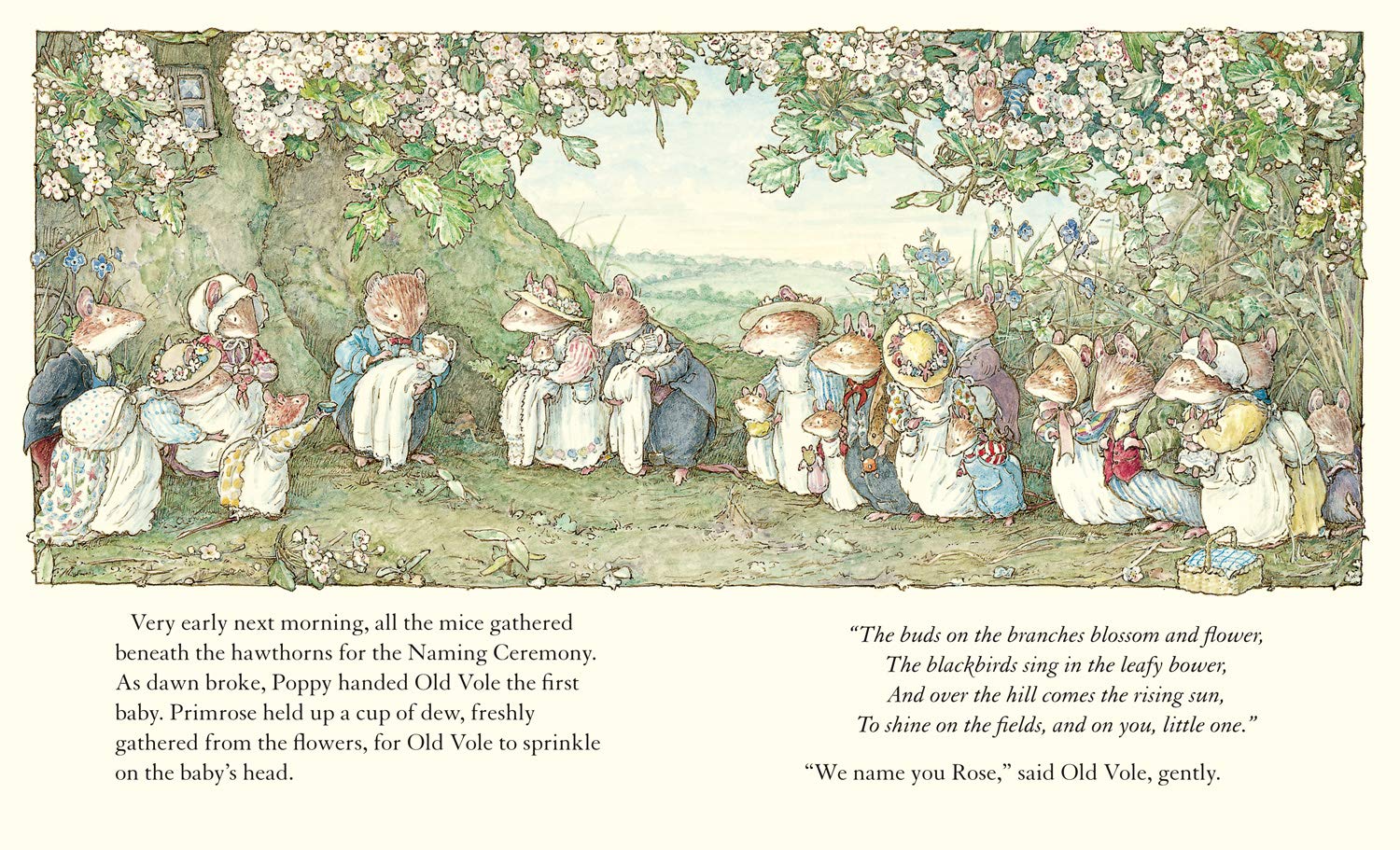 Adventures in Brambly Hedge by Jill Barklem – A Toy Garden