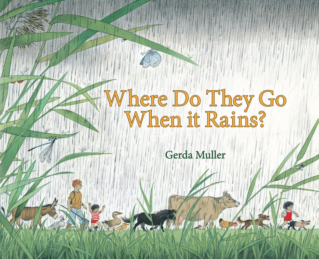 <i>Where Do They Go When It Rains?</i> by Gerda Muller