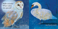 Load image into Gallery viewer, &lt;i&gt;Hello Animals, What Makes You Special?&lt;/i&gt; by Loes Botman
