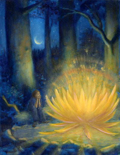 <i>The Blue Forest: Bedtime Stories for the Nights of the Week</i> by Luke Fischer, illustrated by Stephanie Young and Tim Smith