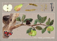 Load image into Gallery viewer, &lt;i&gt;Seasons on the Apple Tree&lt;/i&gt; Postcard Collection by Judith Etzold
