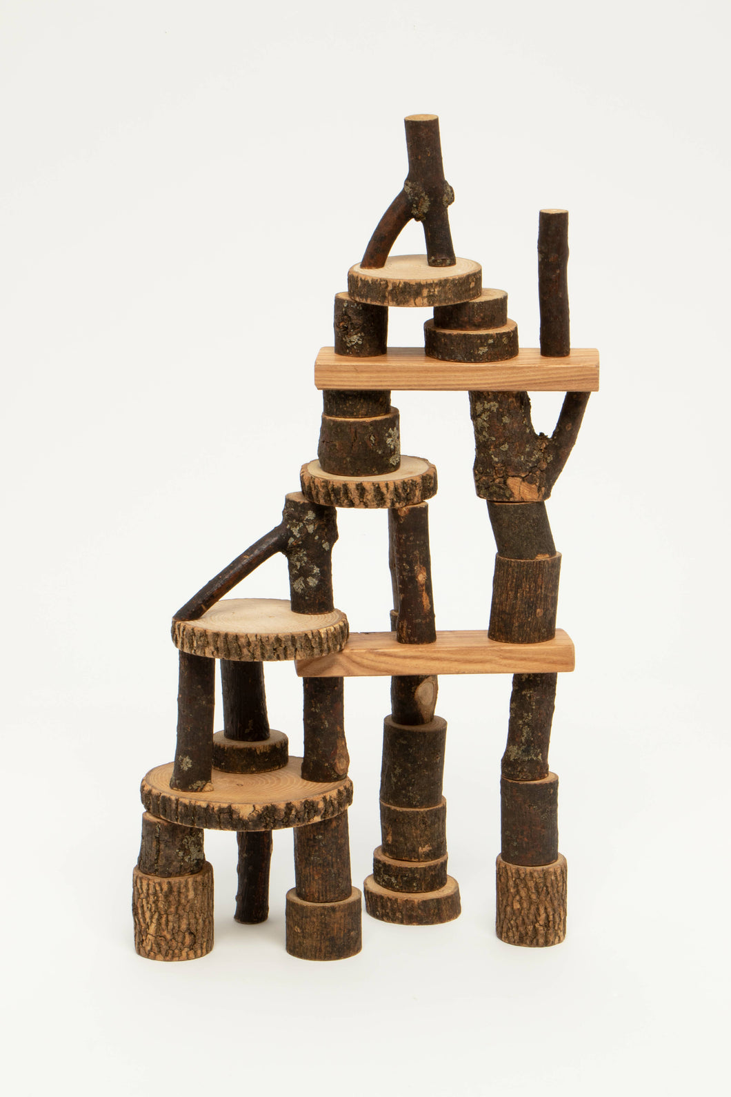 Branch Blocks - 36 Piece Set