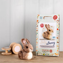 Load image into Gallery viewer, Baby Bunny Needle Felting Kit
