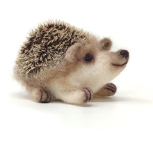 Load image into Gallery viewer, Baby Hedgehog Needle Felting Kit
