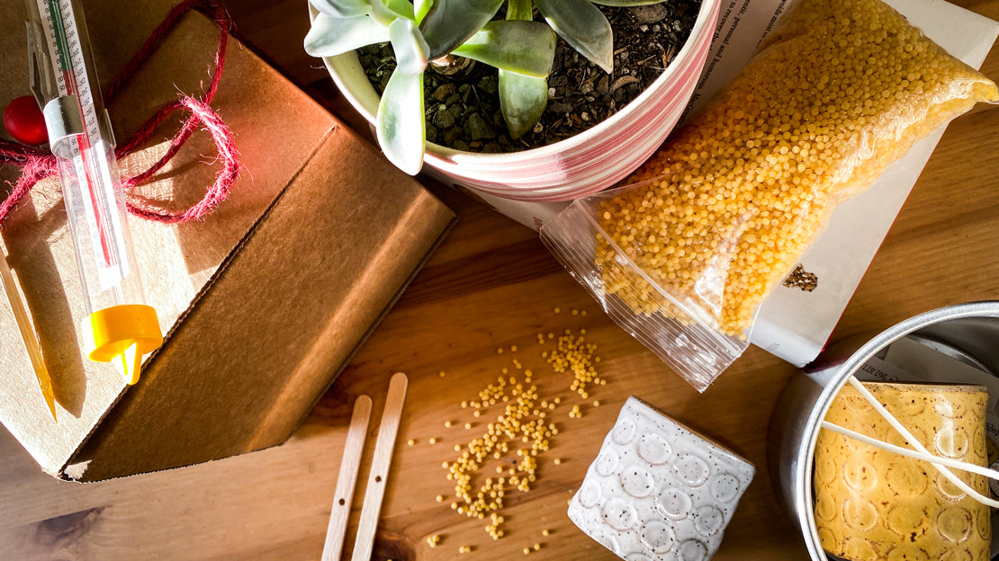 Beeswax Candle Refill Kit