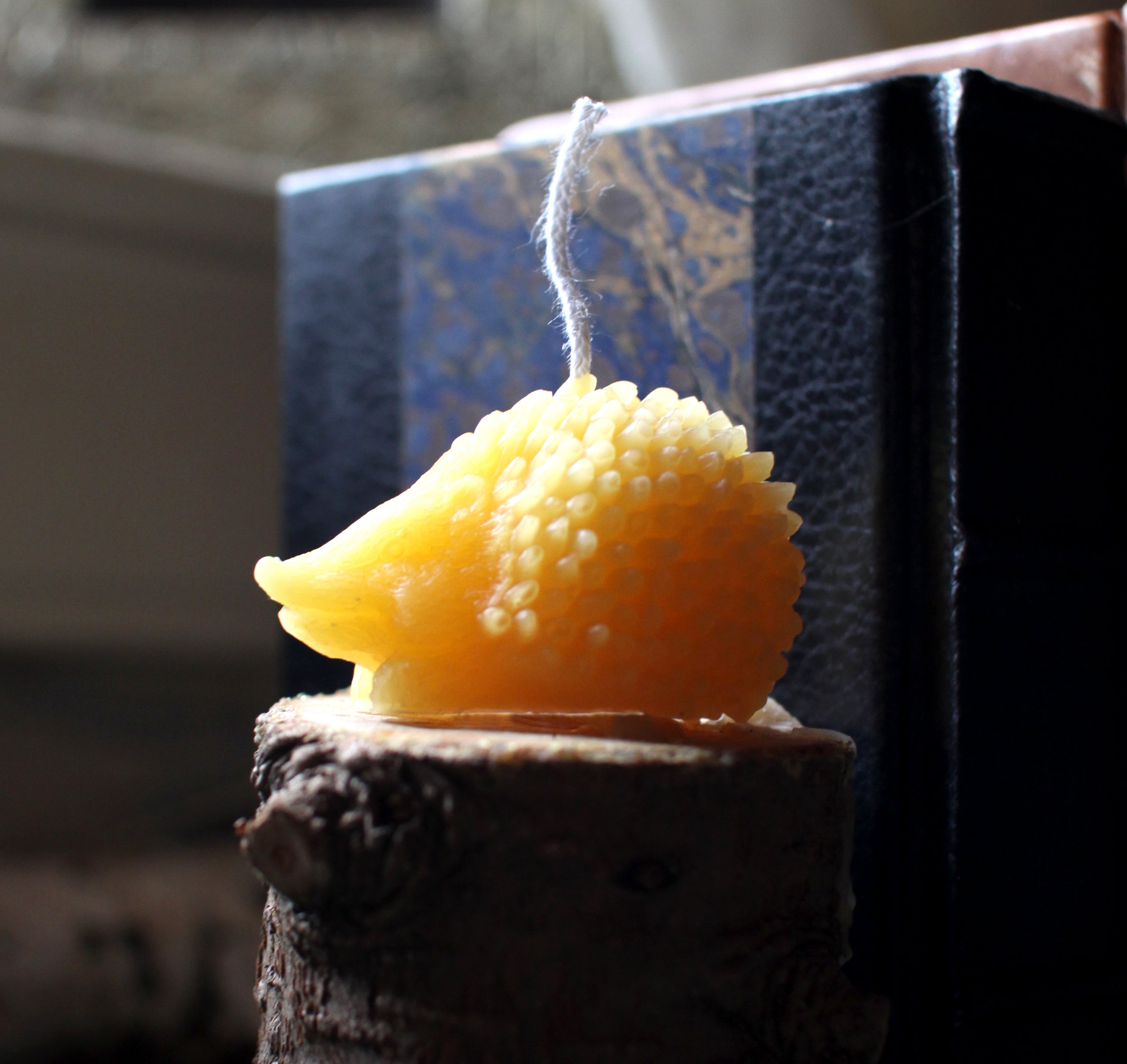Beeswax Hedgehog Candle