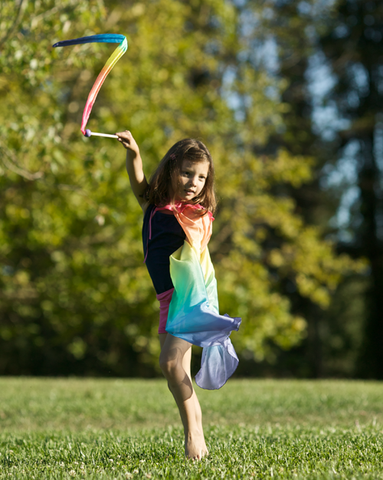 Rainbow Silk Streamer