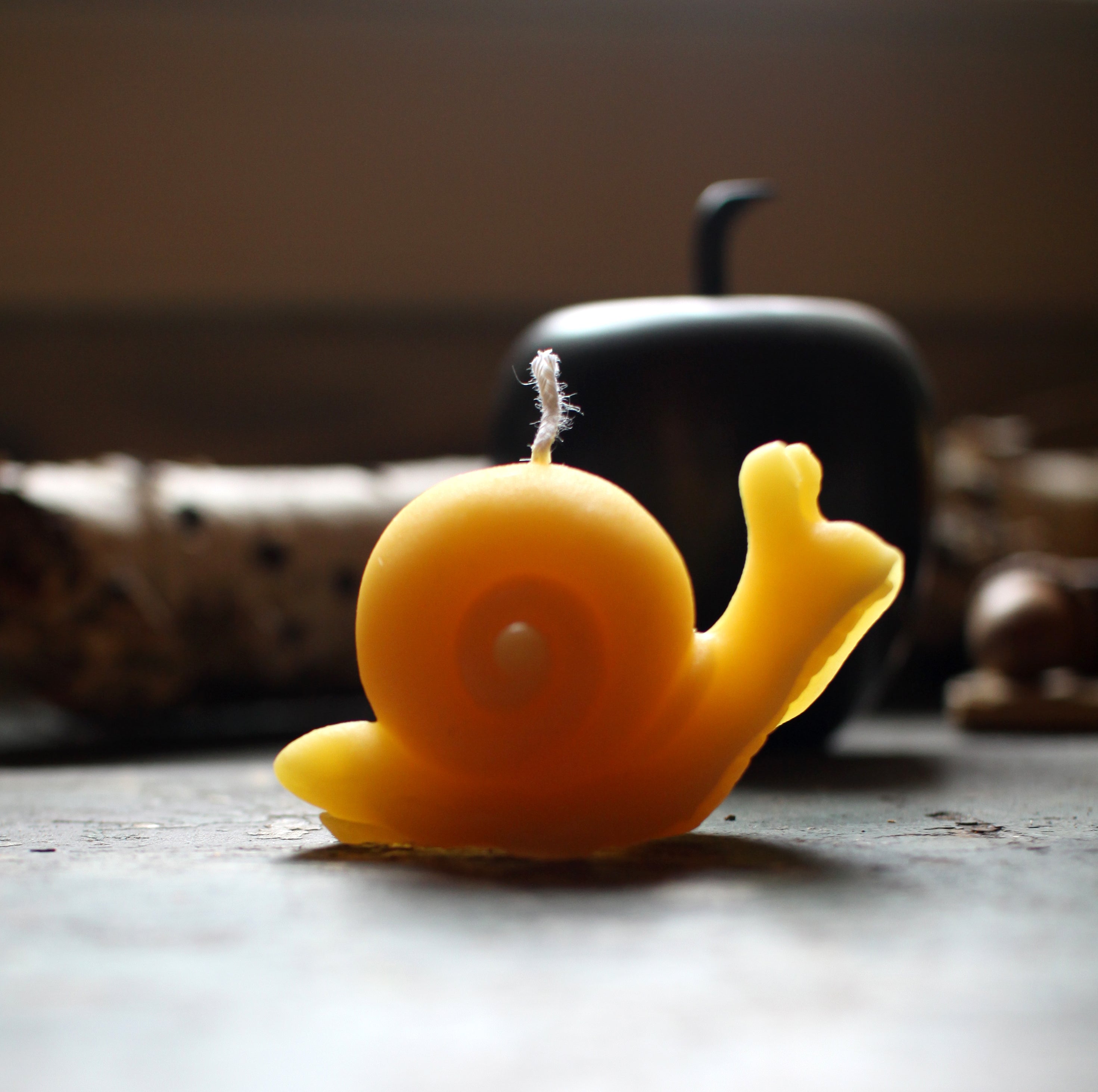 Beeswax Snail Candle